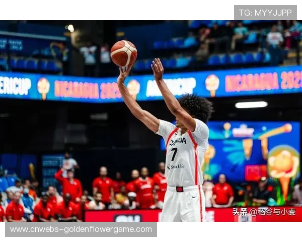 奇才失误频发致败，尼克斯篮板优势转化二次进攻